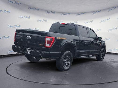 Agate Black Metallic 2023 Ford F-150 Tremor