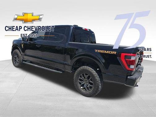 Agate Black Metallic 2023 Ford F-150 Tremor