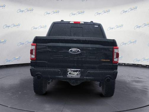 Agate Black Metallic 2023 Ford F-150 Tremor