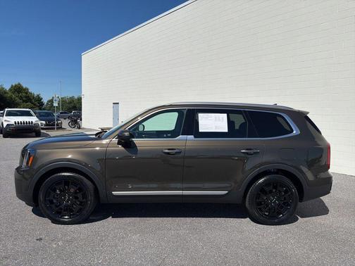 Dark Moss 2025 Kia Telluride S