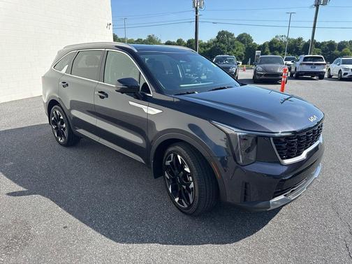 Panthera Metal 2025 Kia Sorento SX
