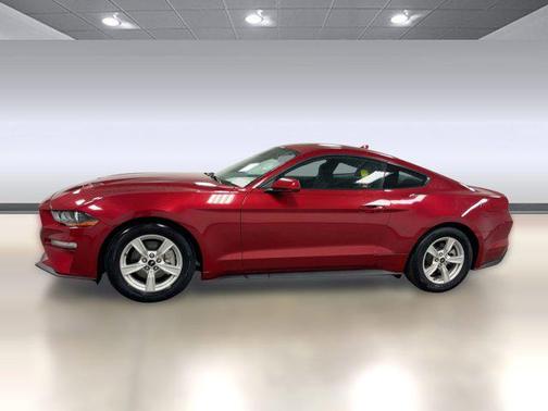 2023 Ford Mustang EcoBoost