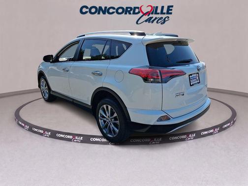 Blizzard Pearl 2018 Toyota RAV4 Limited