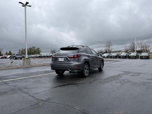 Nebula Gray Pearl 2019 Lexus RX 450h Base