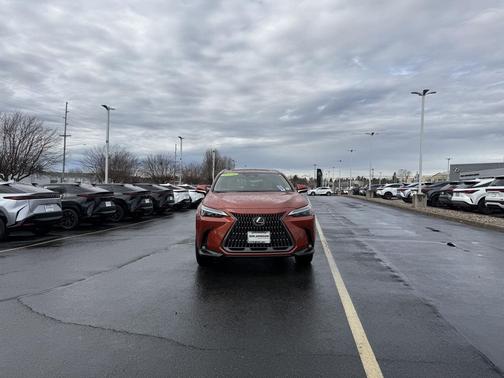 2024 Lexus NX 350 Premium