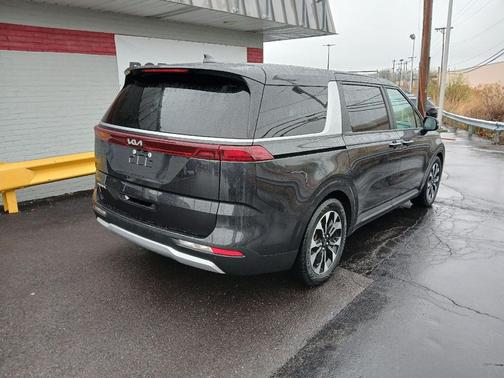 Panthera Metal 2023 Kia Carnival EX