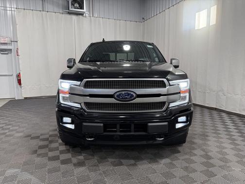 Agate Black Metallic 2019 Ford F-150 Platinum