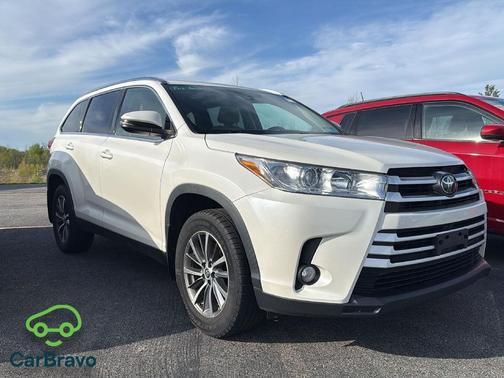 Blizzard Pearl 2019 Toyota Highlander XLE