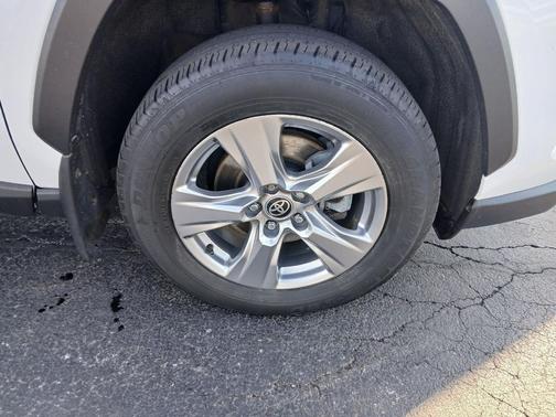 Ice Cap 2023 Toyota RAV4 XLE