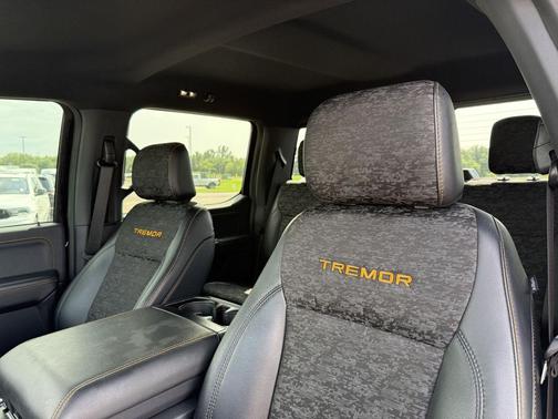 Agate Black Metallic 2025 Ford F-150 Tremor