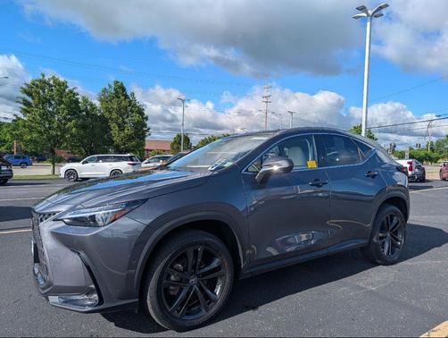 Cloudburst Gray 2025 Lexus NX 450h+ Luxury