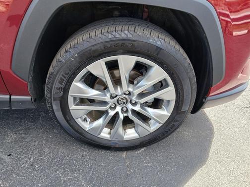 Ruby Flare Pearl 2025 Toyota RAV4 XLE Premium
