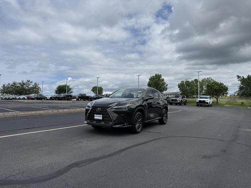Nori Green Pearl 2025 Lexus NX 350 NX 350