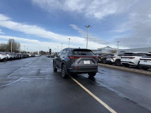 Cloudburst Gray 2024 Lexus NX 350 Premium