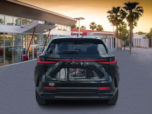 2024 Lexus NX 250 Premium