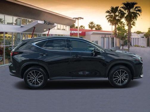 2024 Lexus NX 250 Premium