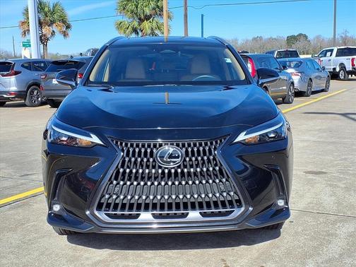 2025 Lexus NX 350 Premium
