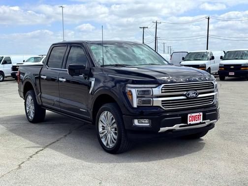 Black 2026 Ford F-150 Platinum