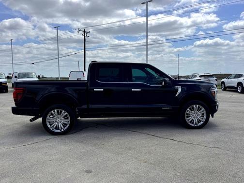Black 2026 Ford F-150 Platinum