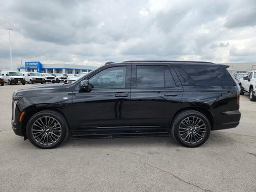 Black Raven 2025 Cadillac Escalade 4WD Sport Platinum