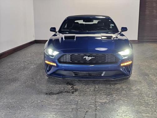 2022 Ford Mustang EcoBoost