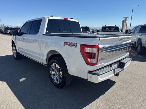 2021 Ford F-150 Platinum