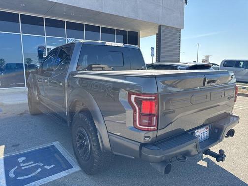 Magnetic 2017 Ford F-150 Raptor