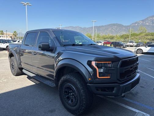 Magnetic 2017 Ford F-150 Raptor