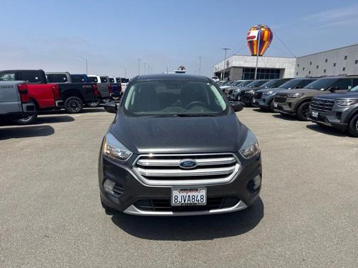 Magnetic 2019 Ford Escape SE