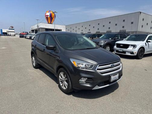 Magnetic 2019 Ford Escape SE
