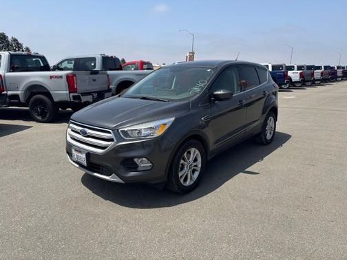 Magnetic 2019 Ford Escape SE