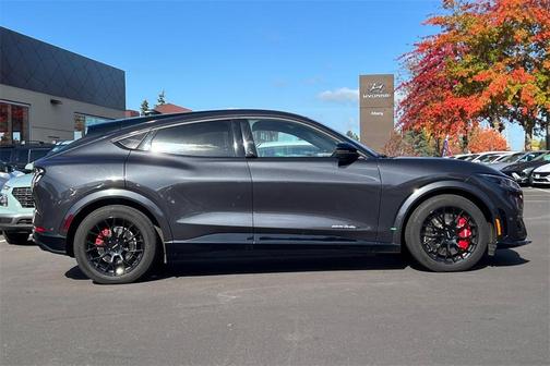 2021 Ford Mustang Mach-E GT