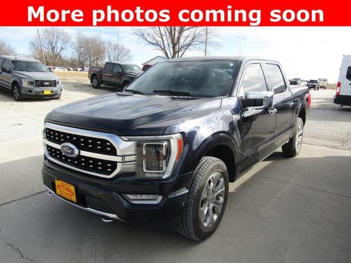 2021 Ford F-150 Platinum