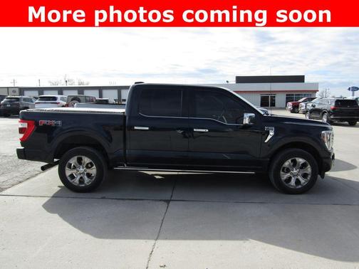 2021 Ford F-150 Platinum