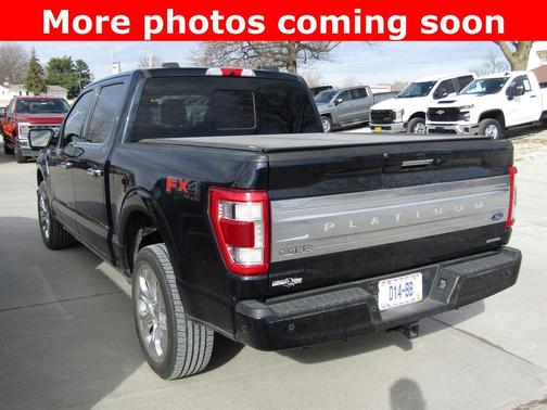 2021 Ford F-150 Platinum