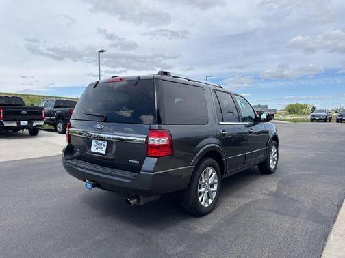 Magnetic 2016 Ford Expedition Limited