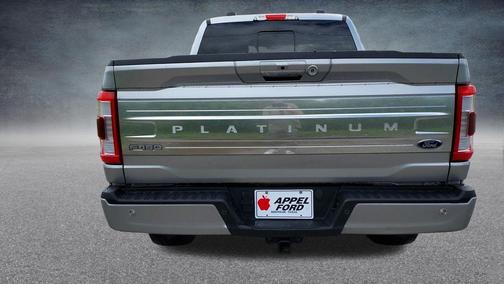 Silver Metallic 2023 Ford F-150 Platinum