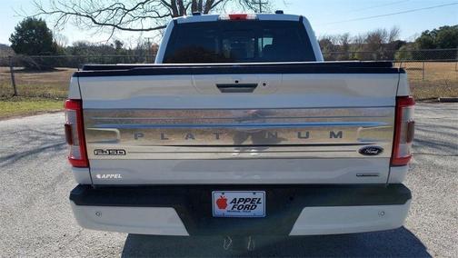 2021 Ford F-150 Platinum
