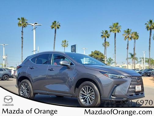 2023 Lexus NX 250 Base