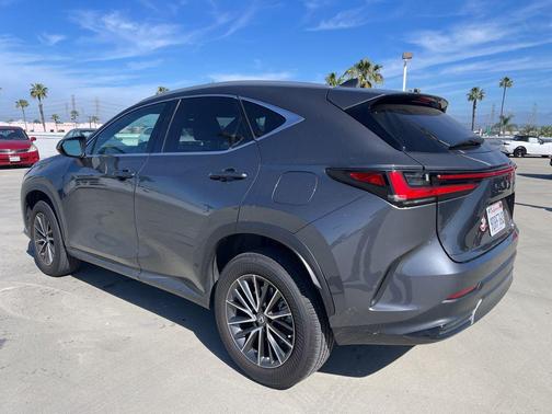 2023 Lexus NX 250 Base