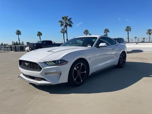 2019 Ford Mustang EcoBoost