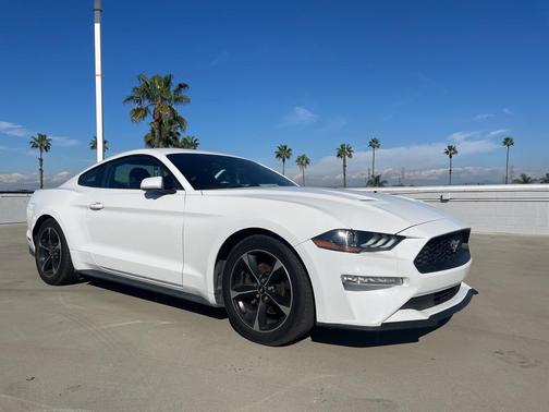 2019 Ford Mustang EcoBoost