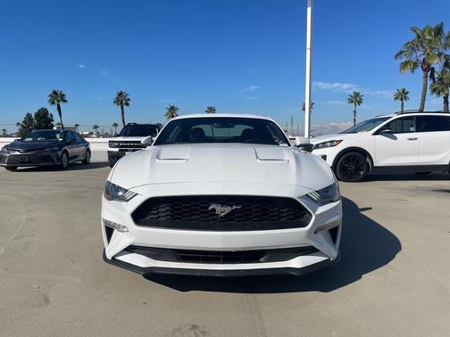 2019 Ford Mustang EcoBoost