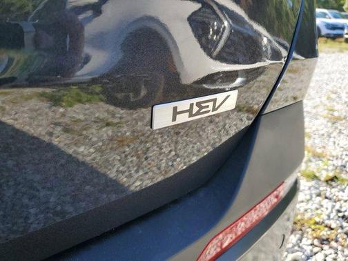 2025 Kia Carnival Hybrid SX