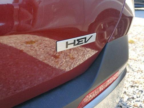 2025 Kia Carnival Hybrid SX