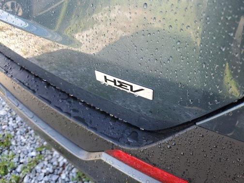 2025 Kia Carnival Hybrid SX