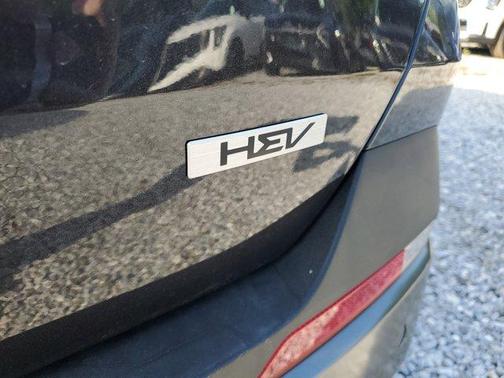 2025 Kia Carnival Hybrid SX