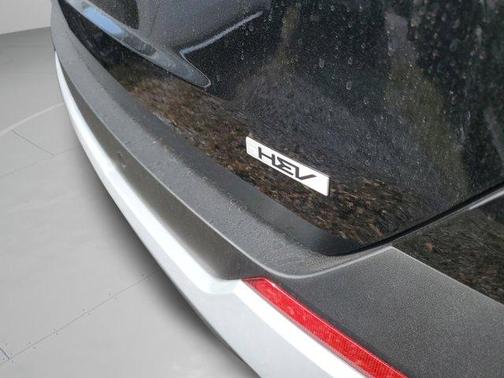 Aurora Black Pearl 2026 Kia Carnival Hybrid EX