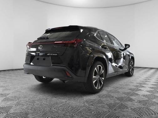 Caviar 2025 Lexus UX 300h 300H