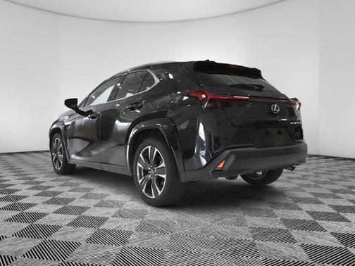 Caviar 2025 Lexus UX 300h 300H